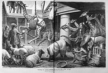 An illustration of giraffes being transported, 1874 Die Gartenlaube (1874) b 646.jpg