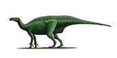 Mantellisaurus Dollodon bampingi Steveoc86.jpg