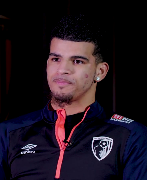 File:Dominic Solanke 2019.png