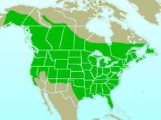 Mapka s rozšířením (zeleně)