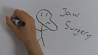 <span class="mw-page-title-main">Draw My Life</span> Type of internet video