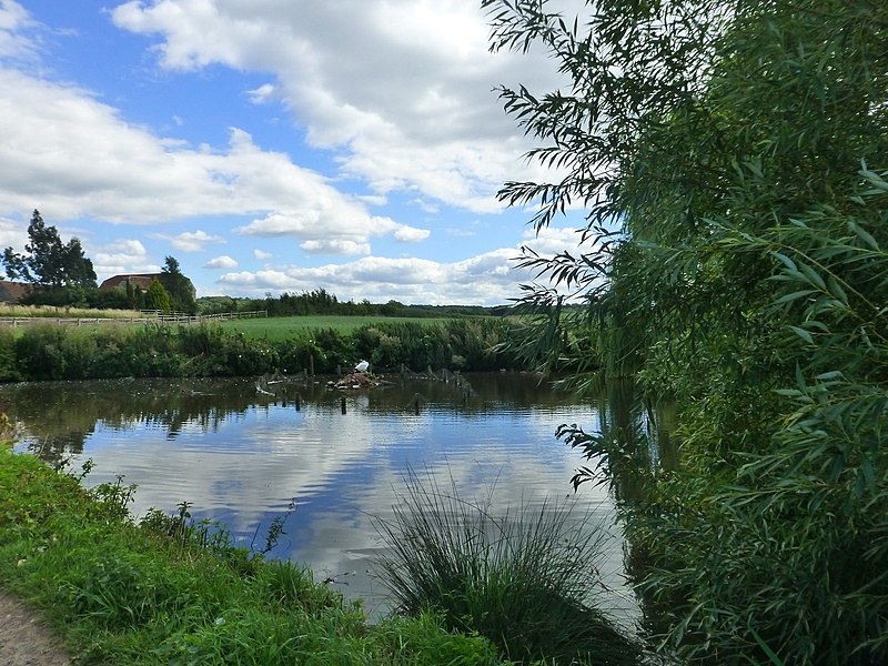 File:Duck Pond in Cowhill, Gloucestershire - geograph-3594327.jpg