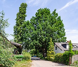 Hofstraße in Duisburg