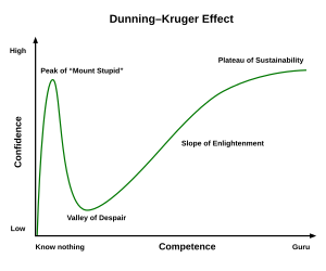 Dunning–Kruger Effect 01.svg