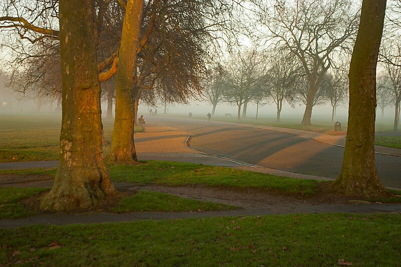 File:Dusk in Finsbury Park, North London - geograph.org.uk - 5263273.jpg