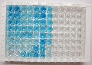 ELISA Plate image.jpg