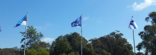 Flags of Estonia, EU and Finland EST EU FIN flags.PNG