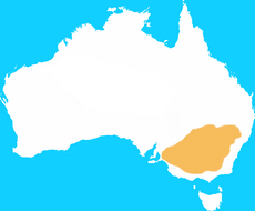 Eastern Hare Wallaby Distribution Map.png