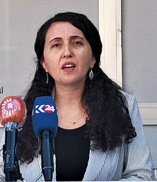 <span class="mw-page-title-main">Ebru Günay</span> Kurdish politician in Turkey