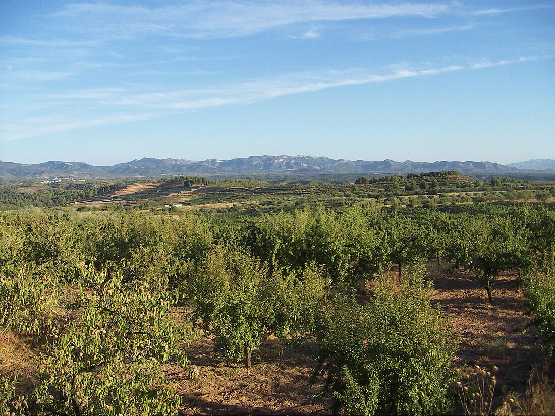 El Molar (Tarragona)