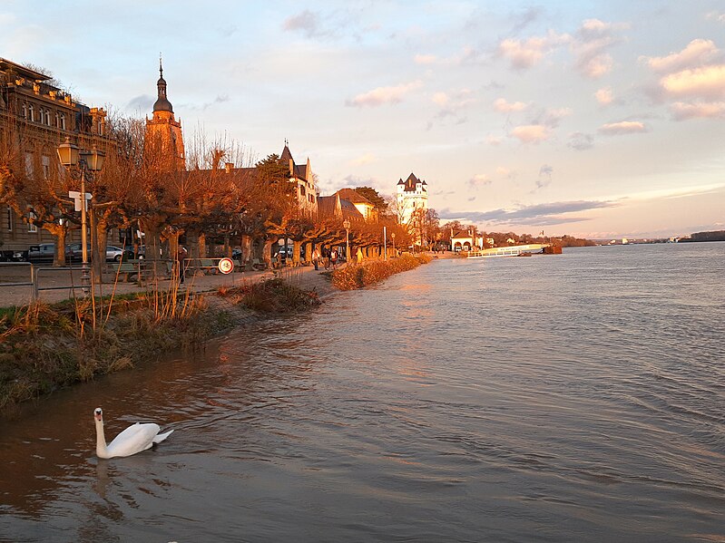 File:Eltville along the Rhine.jpg