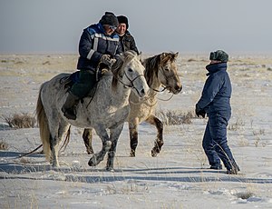 Équitation: Définition, Préparation sportive et entraînement, Matériel