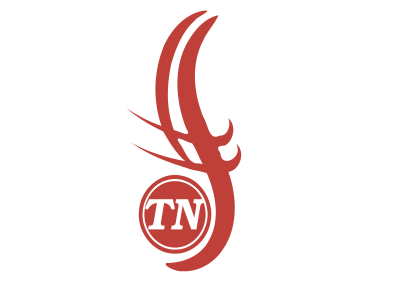 File:FSFTN Logo.svg