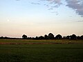Farmland at dusk (sheep grazing on the Mendip Plateau, Somerset).jpg