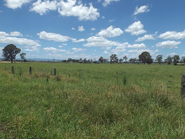 Fields along Alan Creek Road, 2016