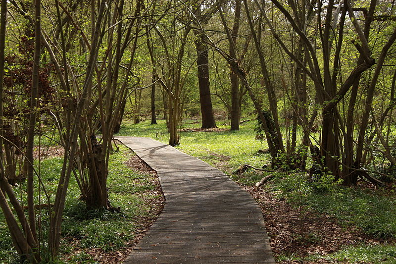 File:Fishponds Wood Nature Reserve (7217636754).jpg