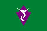 Flag of Sakae Nagano.JPG