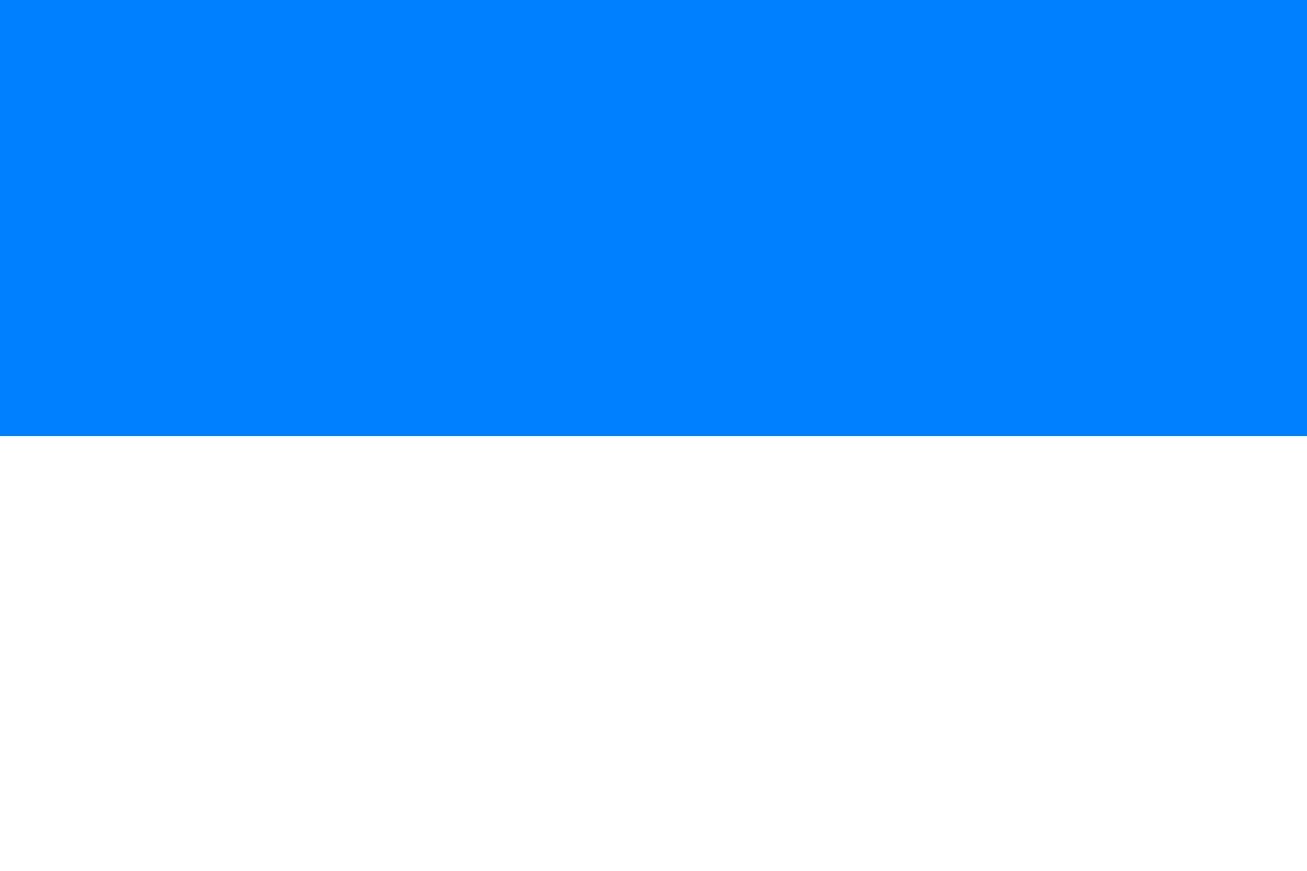 Флаг из двух цветов. Флаг Балтийского герцогства. Брауншвейг-Люнебург флаг. Флаг королевства Славонии. Бело сине белый флаг.
