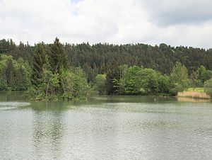 Floodplain on the Lech near Hohenfurch