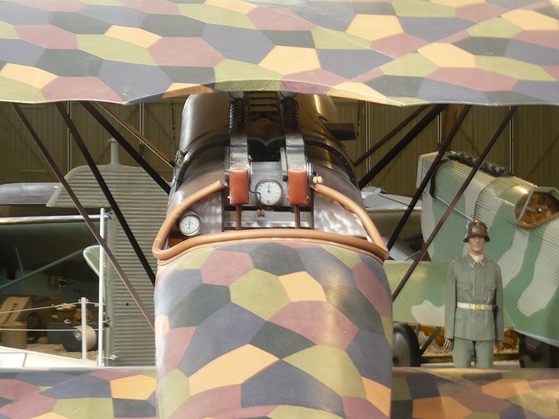 File:Fokker D. VIII close up (2299450793).jpg