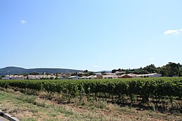 Fontiès-d'Aude - Vue