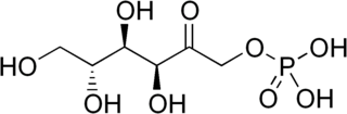 Fructose 1-phosphate chemical compound