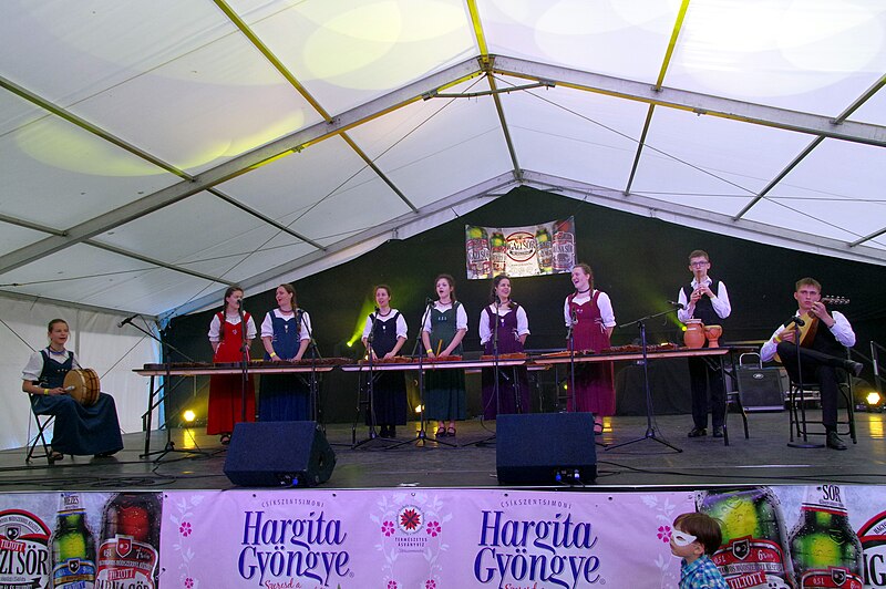 File:Góbéfest 2017 in Manchester (176).jpg