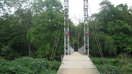 Hanging bridge of Garampani Wildlife Santuary