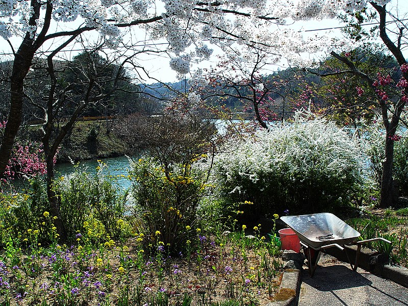 File:Garden of the flowers 花庭 - panoramio.jpg