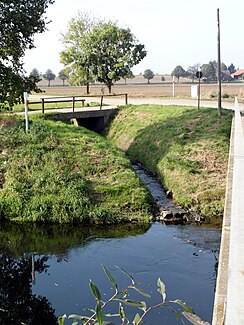 Mouth of the Gestorfer Beeke in the Leine east of Jeinsen