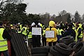 Manifestants costumés en Titi et Grosminet. Sur leurs pancartes il est écit : "Retour de l'ISF. Moins de SDF. Baisse de la TVA. Soutien de Tit et Gros minet (sic). Vive les Gilets jaune (sic). On lâche rien."