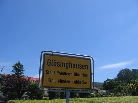 Glösinghausen Juni 2009 009