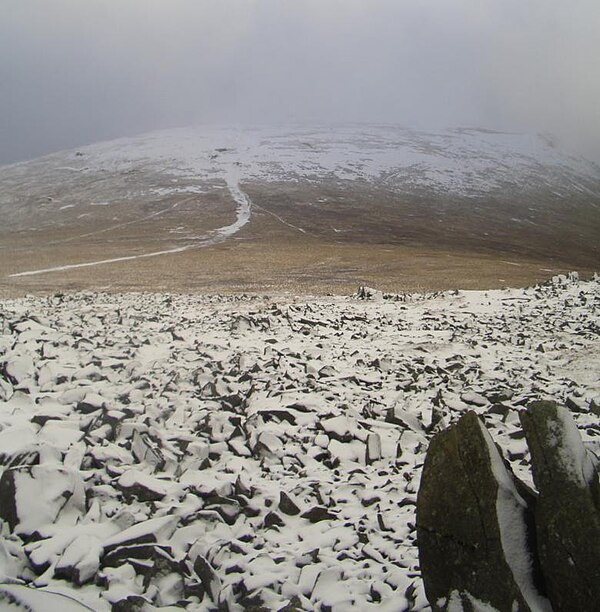 Foel Grach