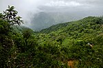 Vignette pour Parc national du Grand Bois