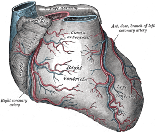 <span class="mw-page-title-main">Left anterior descending artery</span> Artery of the heart