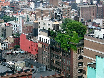 Toit vert de type « culture intensive » à Manhattan.
