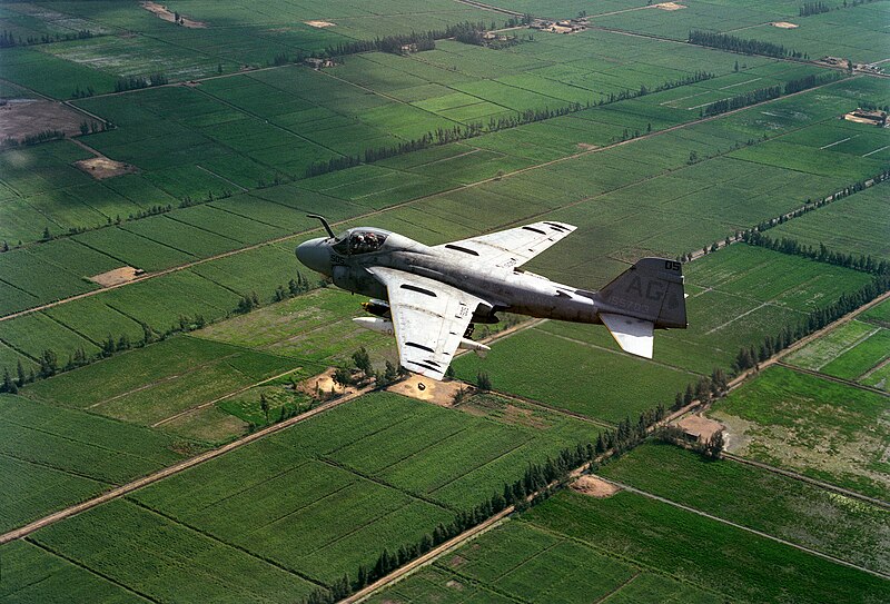 File:Grumman A-6E Intruder of VA-65 on flight on 1 August 1983 (6392725).jpg