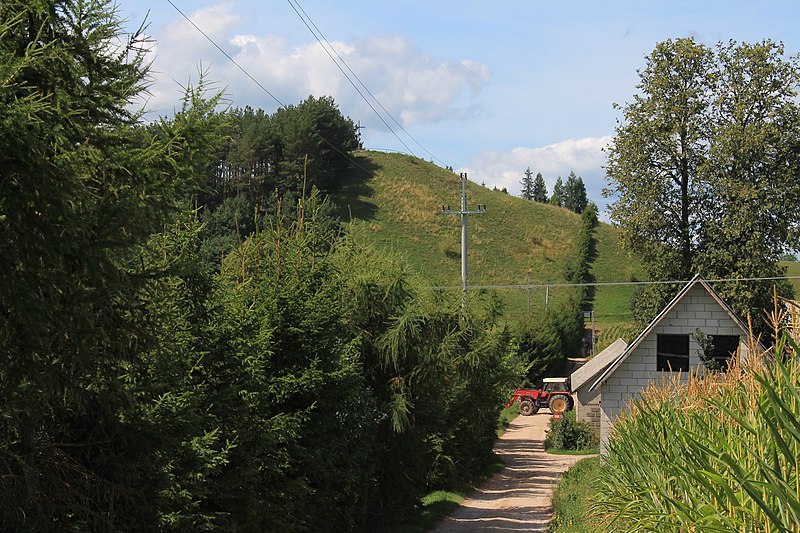 File:Gulbieniszki, powiat suwalski, 2018-08-06 (03) Góra Cisowa.jpg
