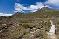 Hartz Mountain and Mt Snowy, Hartz National Park, Tasmania, Australia