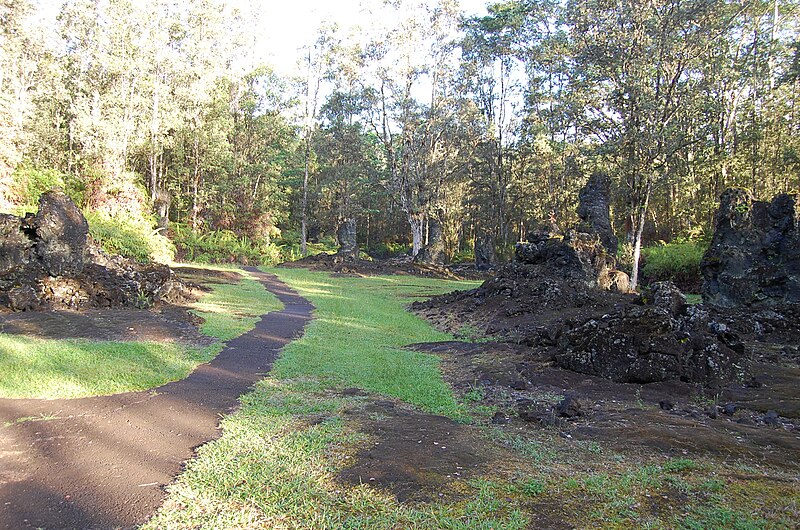 File:Hawaii Lava Tree State Park SAC01.JPG