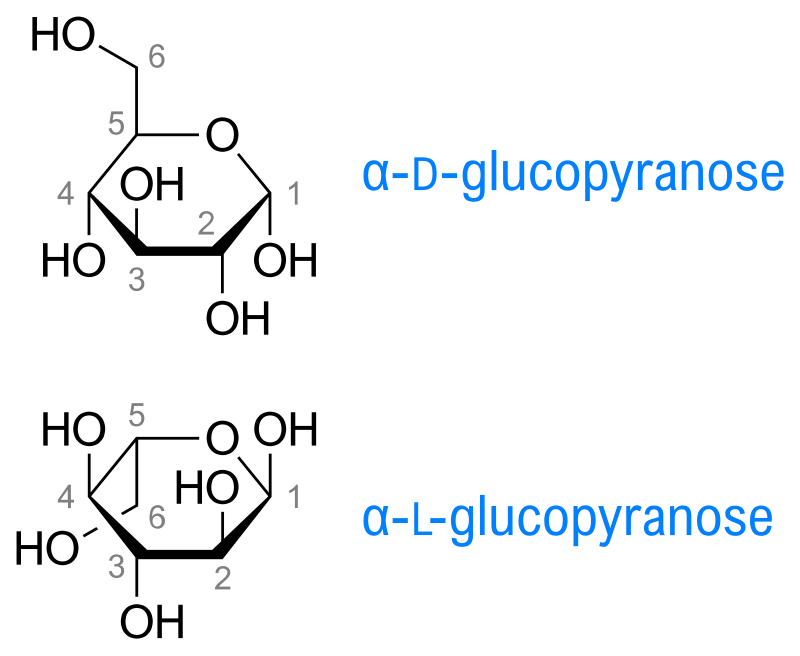 maltose chair conformation