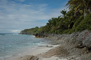 Henderson Island-110250.jpg