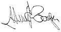 Henry Cooper 1898 signature.jpg