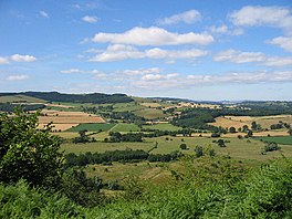 Herefordshire Jejak yang mengarah ke Wapley Hillfort - geograph.org.inggris - 60220.jpg