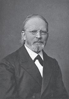 <span class="mw-page-title-main">Hermann Hüffer</span> German historian (1830–1905)