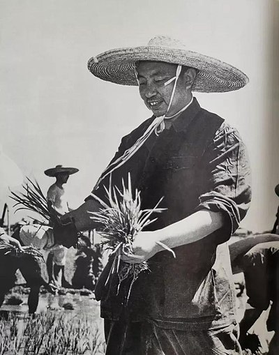 In July 1970, Hua Guofeng participated in the agriculture of the Dongtundu Subdistrict in the suburbs of Changsha.