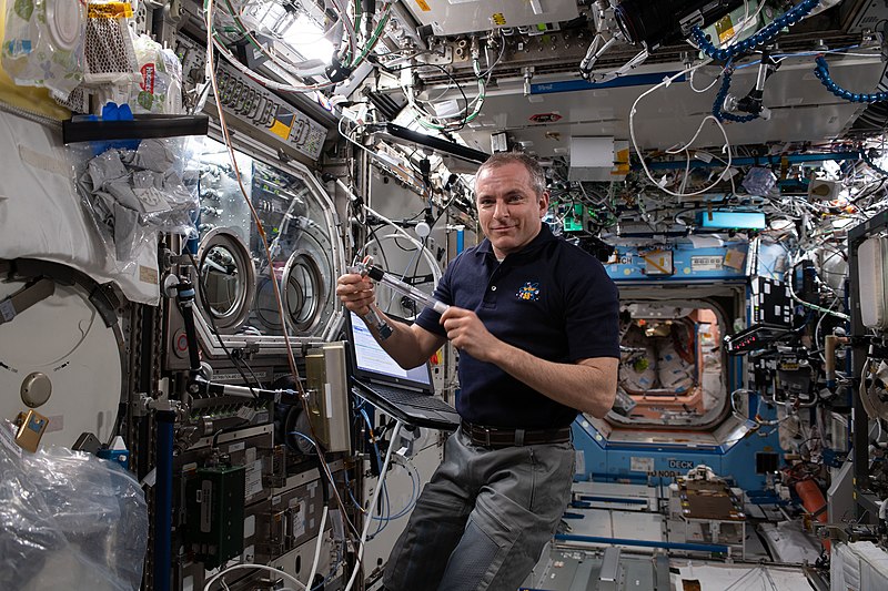 File:ISS-59 David Saint-Jacques works inside the Destiny lab (1).jpg