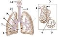 Hình xem trước của phiên bản lúc 11:36, ngày 8 tháng 1 năm 2017