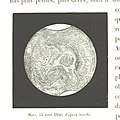 Image taken from page 548 of 'L'Espace céleste et la nature tropicale, description physique de l'univers ... préface de M. Babinet, dessins de Yan' Dargent' (11051941965).jpg