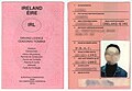 Driving License Ireland Apply